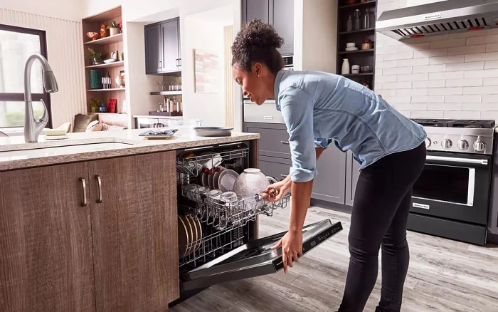 dishwasher cleaner dishwasher cleaner